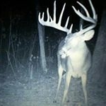 Profile Picture of Mickey Revels (@mickeyrevels) on Instagram