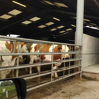 Profile Picture of Charles Reid (@GoalieReid) on Twitter