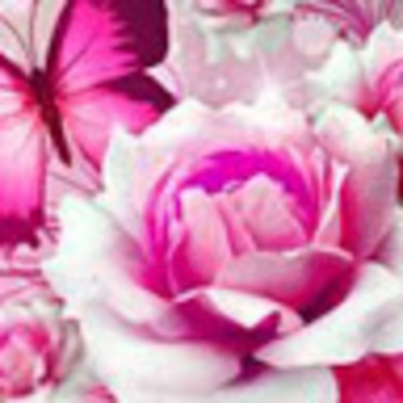 Profile Picture of Carol Chase (@sammiangel50) on Poshmark