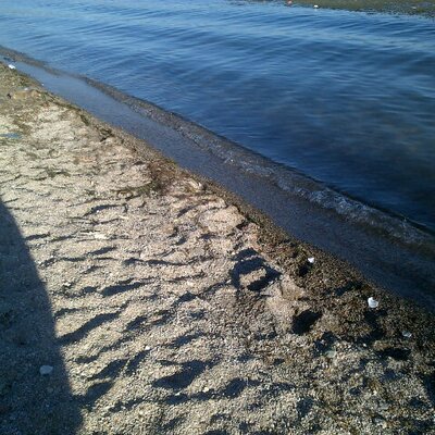 Profile Picture of Zuleyma Solano (@ZuleymaSolano) on Twitter