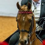 Profile Picture of Brian Hadley Stables (@brianhadleystables) on Instagram