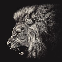 Profile Picture of Abbas Thomas (@abbas-thomas-1) on Quora