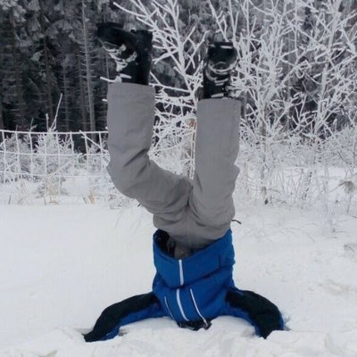 Profile Picture of David Bubeník (@david_bubenik) on Twitter