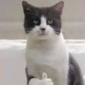 Profile Picture of Benjamin Schultz (@crowbro684) on Youtube