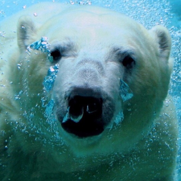 Profile Picture of Christina Urso (@christina192003) on Poshmark