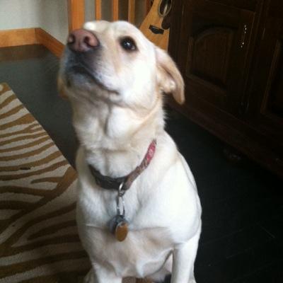 Profile Picture of Rory Mitchell (@Rorymitchell27) on Twitter