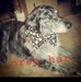Profile Picture of Jerry Hart (@jerry.hart.14289210) on Facebook