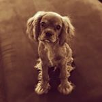 Profile Picture of Brian🕺🏻 (@thelifeofbrianlavender) on Instagram