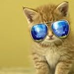 Profile Picture of Matthew Snowdon (@matthew.snowdon) on Instagram