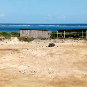 Profile Picture of moses maishaon Twitter