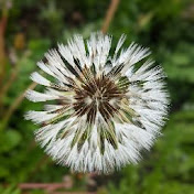 Profile Picture of Simon Doran (@simondoran1087) on Youtube