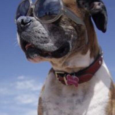 Profile Picture of John Morrell (@JohnMorrellat) on Twitter