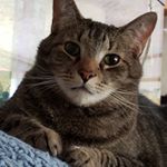 Profile Picture of Dawn Painter (@dawn.painter) on Instagram