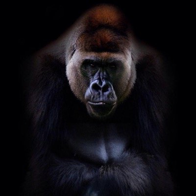 Profile Picture of Terry Hayes (@terryhayes71) on Twitter