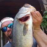 Profile Picture of Steven Wooley (@stevenwooley8989.sw) on Instagram