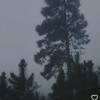Profile Picture of Dorothy Craddock (@dorothycraddock_518) on Tiktok