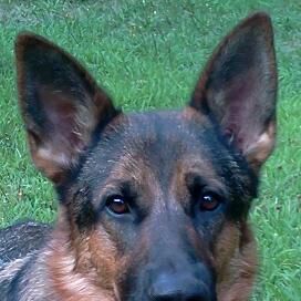 Profile Picture of Jon Varnum (@jon.varnum) on Facebook