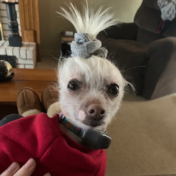 Profile Picture of Katie Mckinnon (@katemcki16) on Poshmark