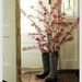 Profile Picture of Christina Polendo-Davis (@cjdavis1024) on Pinterest
