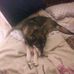 Profile Picture of Donna Payton Cates (@donna.paytoncates) on Facebook