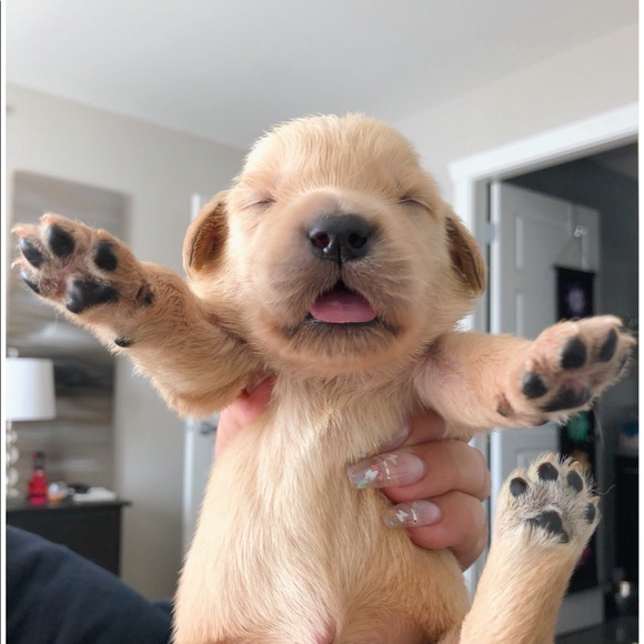 Profile Picture of Amanda’s Closet (@amandafaith31) on Poshmark