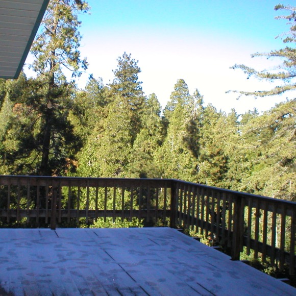 Profile Picture of Debbie Mcmahon (@gotdeb444) on Poshmark