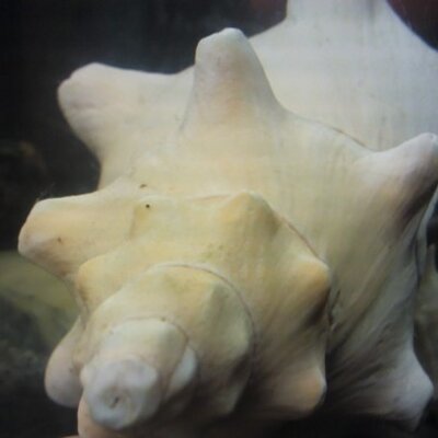 Profile Picture of Angelica Lundquist (@@AngelicahAL) on Twitter