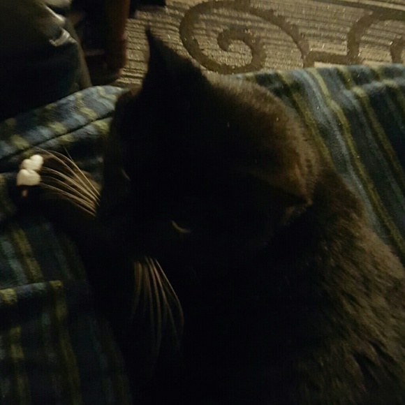 Profile Picture of Jim Dupertuis (@sanrafaeljim) on Poshmark