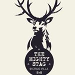 Profile Picture of The Mighty Stag @ Craig Villa (@themightystag) on Instagram