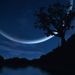 Profile Picture of Annjoe Yap (@annjoeyap) on Pinterest