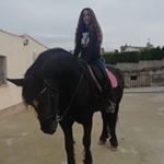 Profile Picture of ✨Maria & Iris✨ (@maria._dressage) on Instagram
