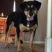 Profile Picture of Jen Minor (@jenaminor) on Pinterest