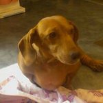 Profile Picture of Cheryl Brian Ranson (@cherylranson) on Instagram