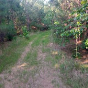 Profile Picture of Jason Preslar (@jasonpreslar6107) on Youtube