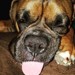 Andrew Yonan - Instagram Profile Picture of Andrew Yonan (@andrew_yonan.980) on Instagram