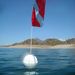Profile Picture of Sheri Falkenburry (@sfalkenenburry) on Pinterest