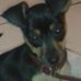 Profile Picture of Bennett Bradley (@bennett.bradley.9) on Facebook