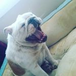 Profile Picture of Avery rose conroy (@averyroseconroy) on Instagram
