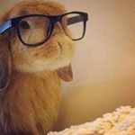 Profile Picture of Sherman Walker (@shermanwalker3) on Instagram