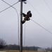 Profile Picture of Josh Bisson (@josh.bisson.716) on Facebook