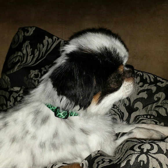 Profile Picture of Lori Pickens (@dalliejo) on Poshmark