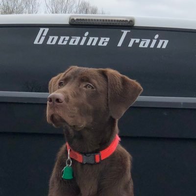 Profile Picture of Stephen Sigler (@stephensigler1) on Twitter
