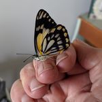 Profile Picture of Cheryl Warwick (@warwick.cheryl) on Instagram