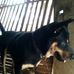 Profile Picture of Joel Mande (@joel.mande.1656) on Facebook
