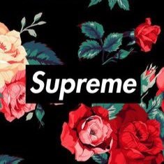 Profile Picture of Matt Hodgkins (@MattHodgkins1) on Twitter