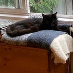 Profile Picture of Abby Enelow (@enelowmaomi) on Instagram