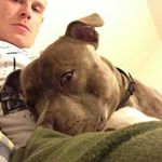 Profile Picture of Kevin Bodilly (@kevinbodilly) on Instagram