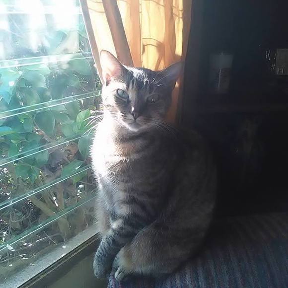 Profile Picture of Robin Suggs (@robinsuggs) on Poshmark