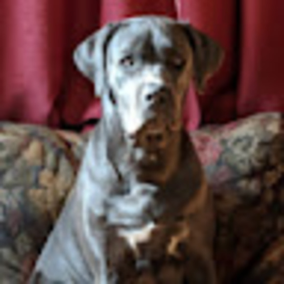 Profile Picture of Robert Year (@niromight23) on Poshmark