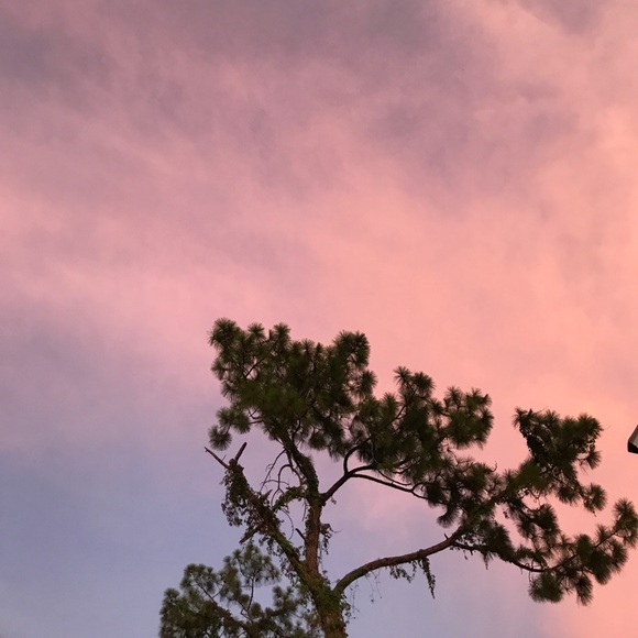 Profile Picture of Dylan Silva (@slitxoxo) on Poshmark